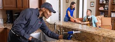 Best Pest Prevention Services  in La Joya, TX